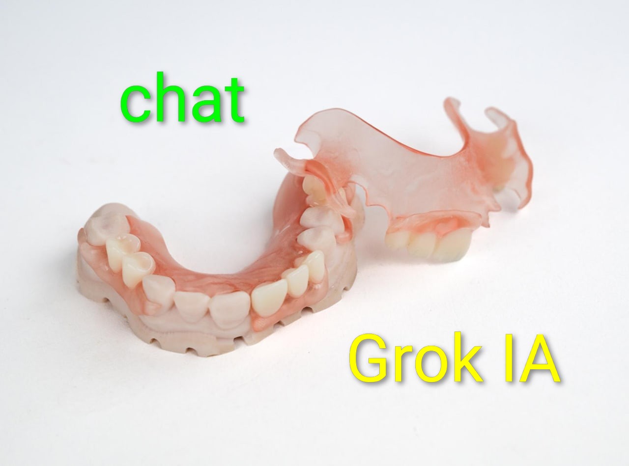 Chat Grok IA