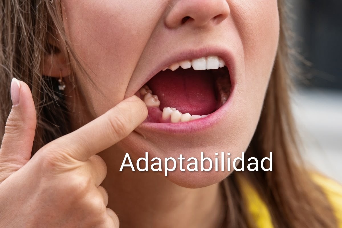Adaptabilidad Dental 